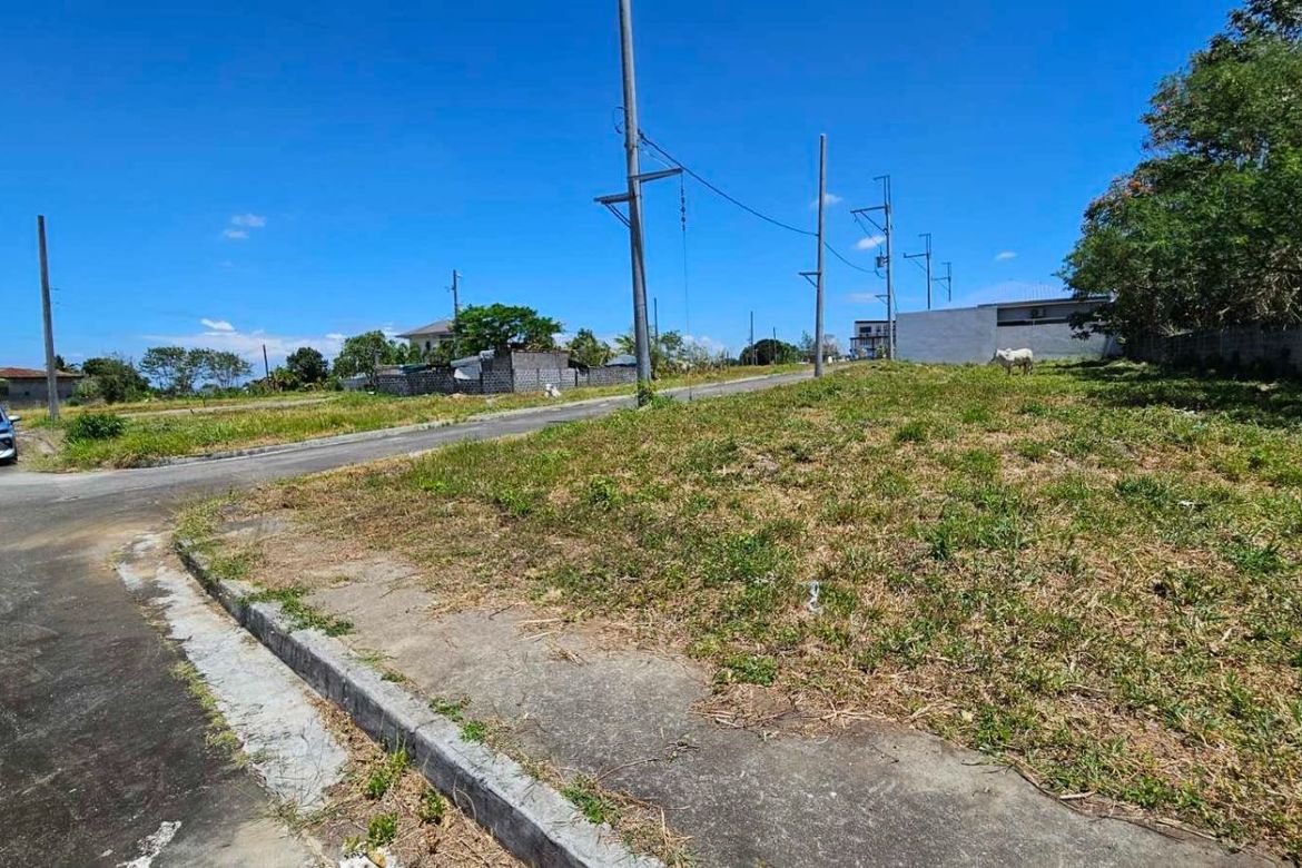 Land for Sale in Metro South Village, Panungyanan, General Trias, Cavite – photo 5