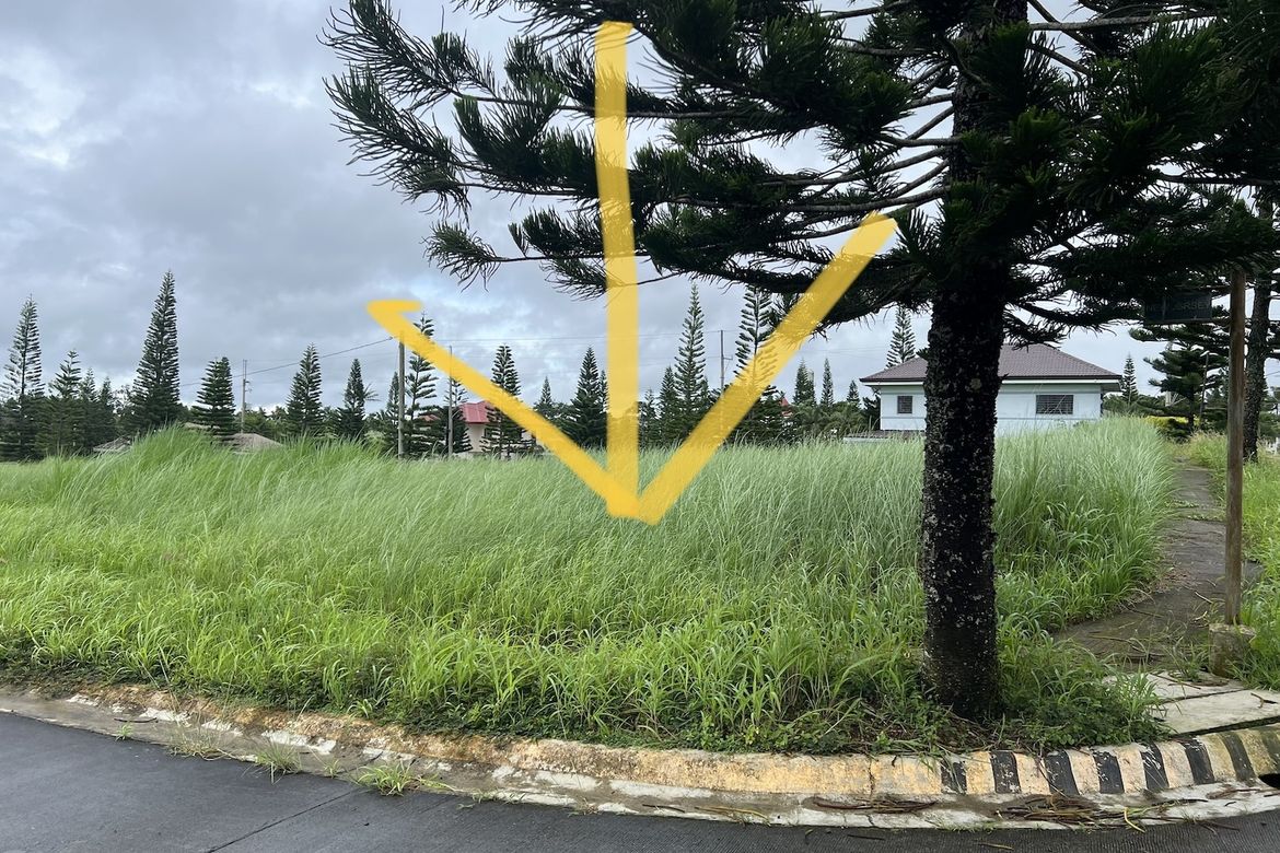 Land for Sale in Metrogate Tagaytay Manors, Silang Junction North, Tagaytay, Cavite – photo 2