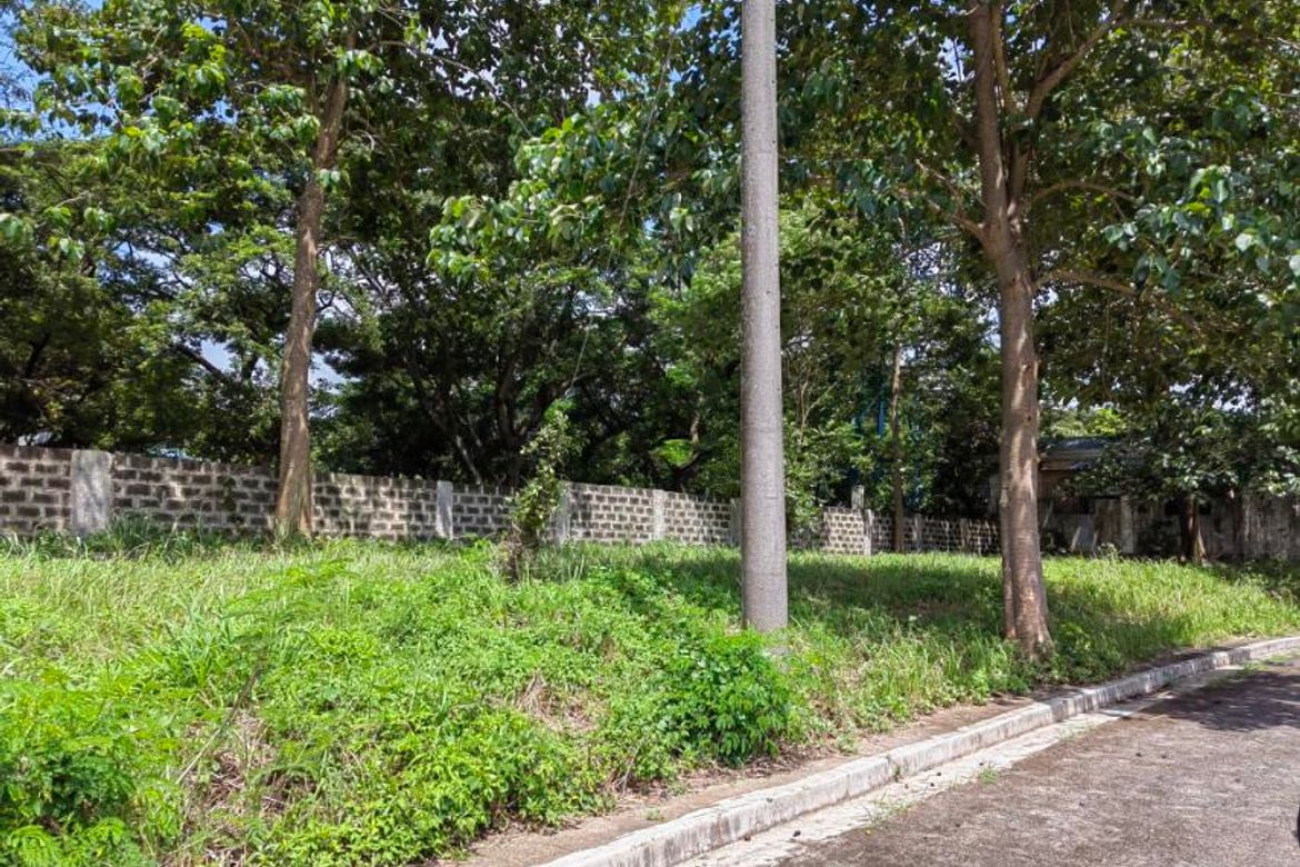 Land for Sale in Metropolis Greens, Amuyong, Alfonso, Cavite – photo 3