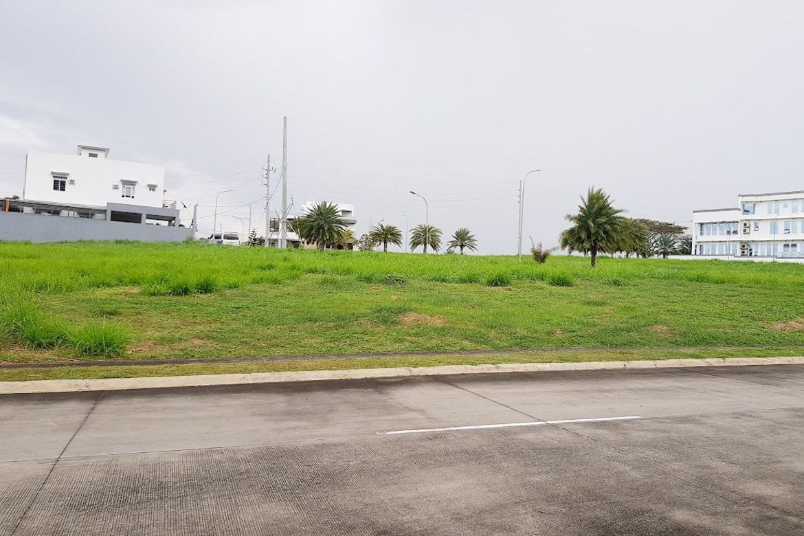 Land for Sale in Miami, Inchican, Silang, Cavite – photo 7