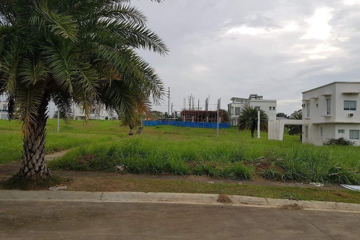 Land for Sale in Miami, Inchican, Silang, Cavite – photo 8