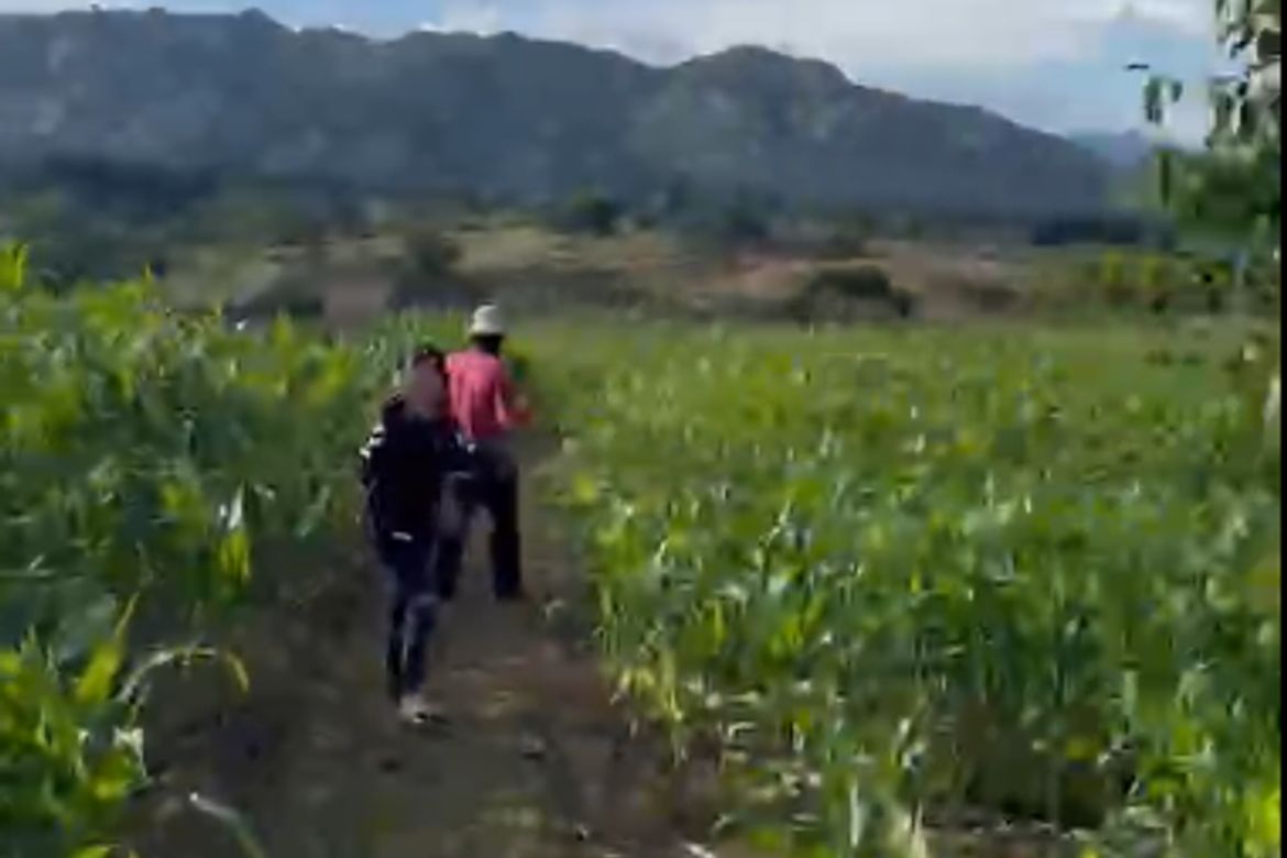 Land for Sale in Miglamin, Malaybalay, Bukidnon – photo 2