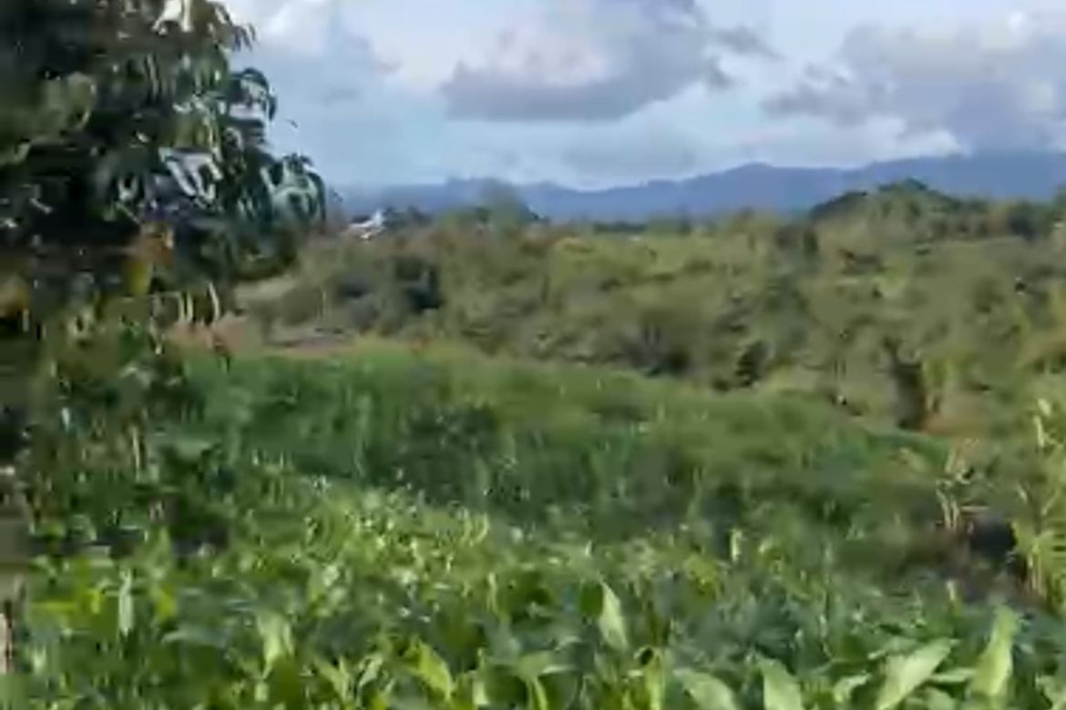 Land for Sale in Miglamin, Malaybalay, Bukidnon – photo 3