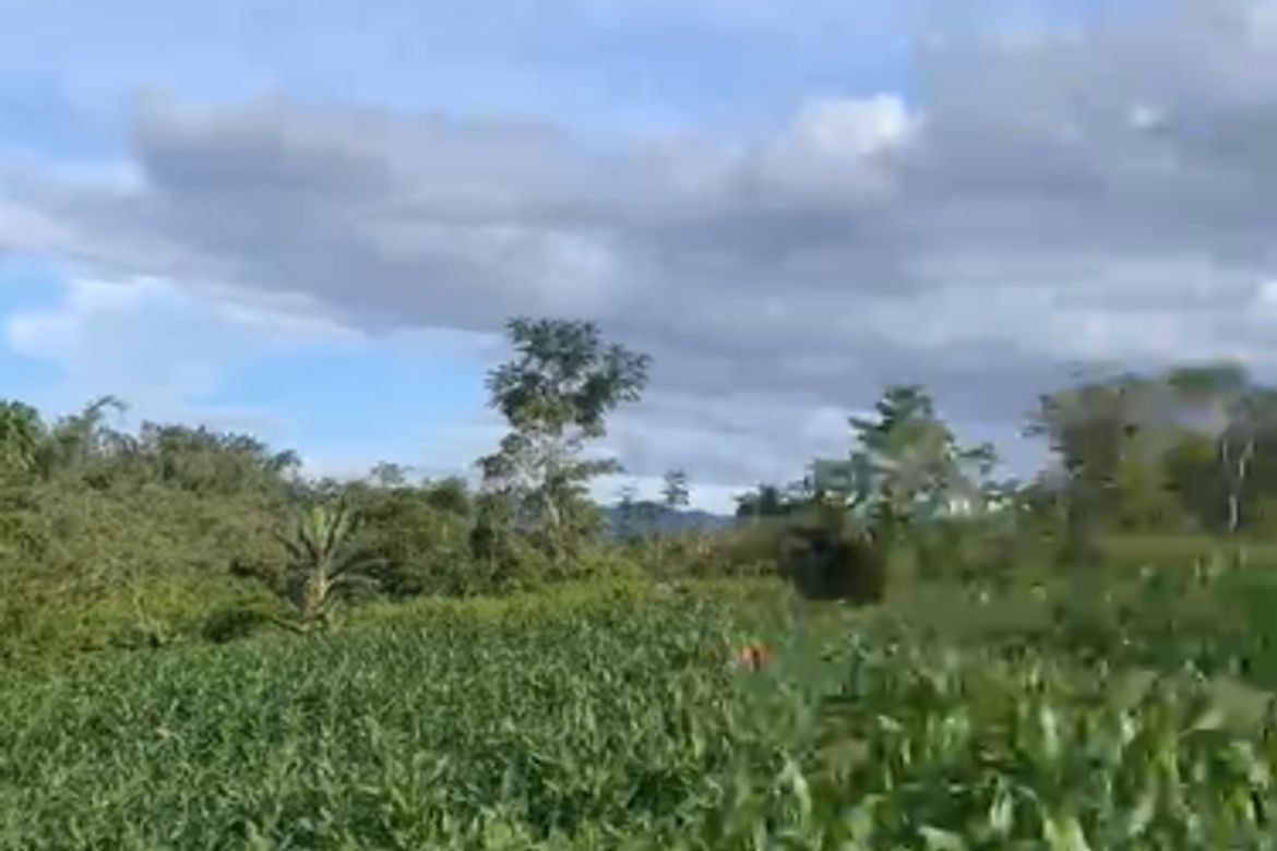 Land for Sale in Miglamin, Malaybalay, Bukidnon – photo 4
