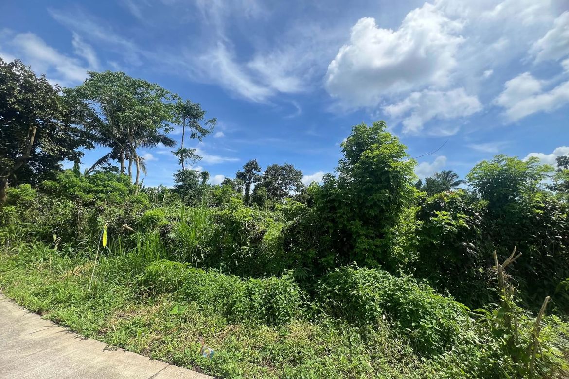 Land for Sale in Miguel Mojica, Mendez, Cavite