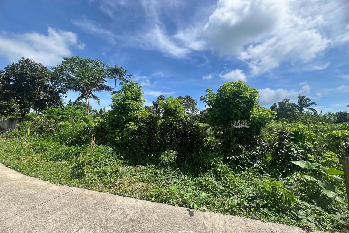 Land for Sale in Miguel Mojica, Mendez, Cavite – photo 2