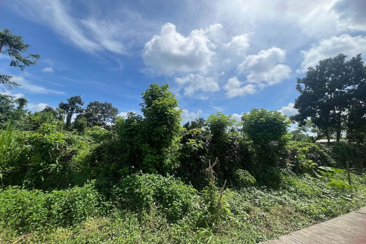 Land for Sale in Miguel Mojica, Mendez, Cavite – photo 3
