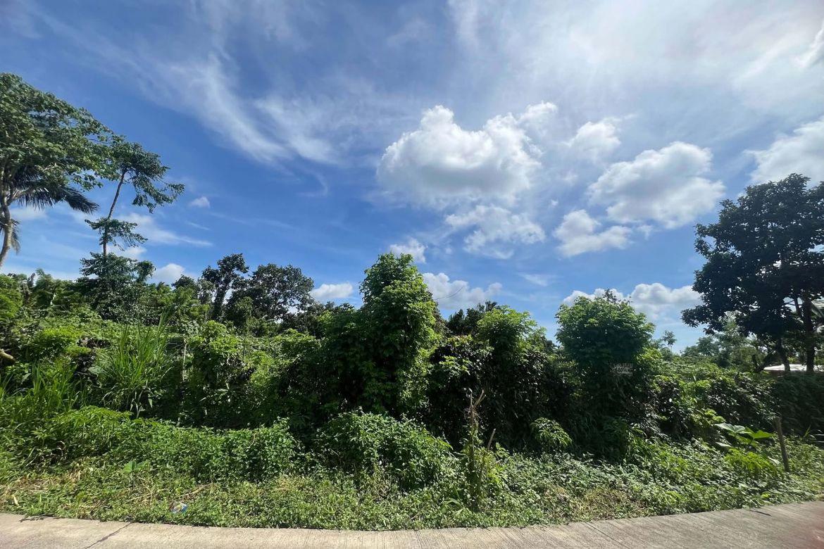 Land for Sale in Miguel Mojica, Mendez, Cavite – photo 4