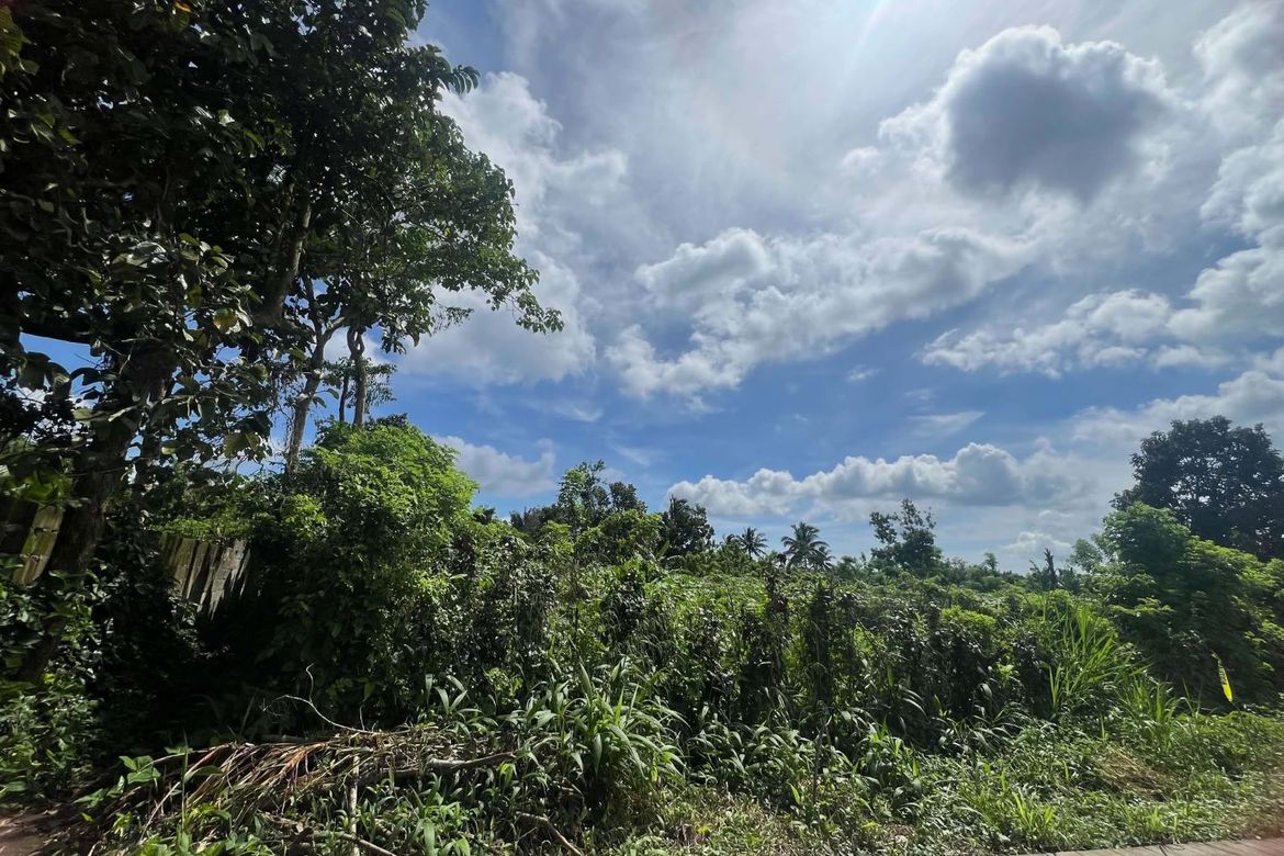 Land for Sale in Miguel Mojica, Mendez, Cavite – photo 6