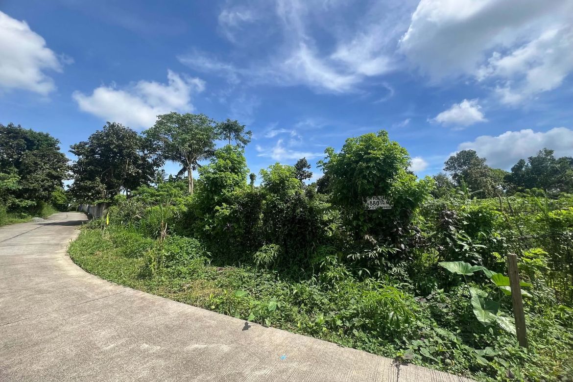 Land for Sale in Miguel Mojica, Mendez, Cavite – photo 7