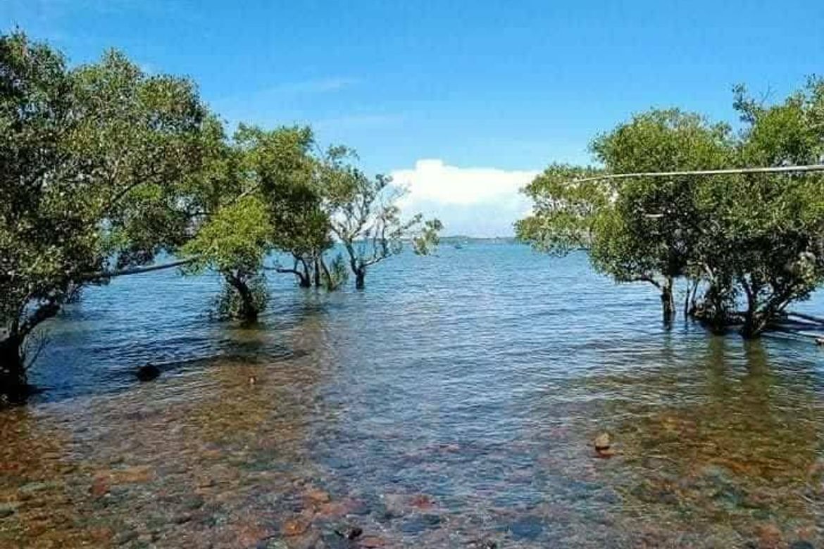 Land for Sale in Millan, Sibunag, Guimaras – photo 4