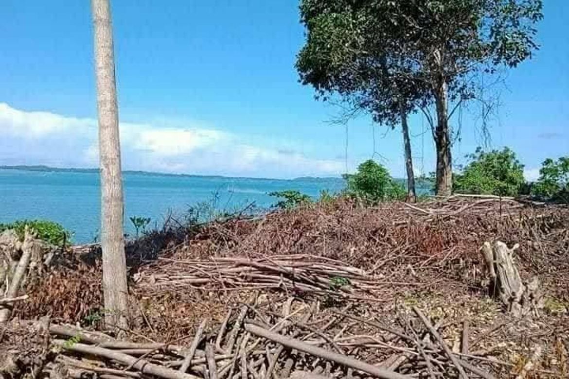 Land for Sale in Millan, Sibunag, Guimaras – photo 5