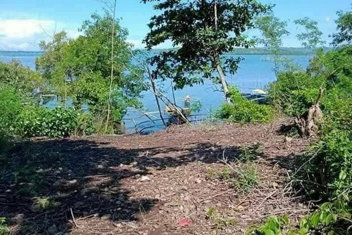 Land for Sale in Millan, Sibunag, Guimaras – photo 6