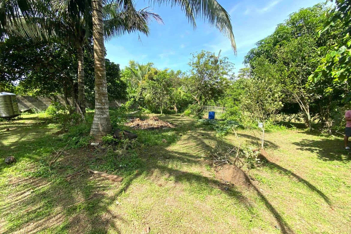 Land for Sale in Minantok Kanluran, Amadeo, Cavite