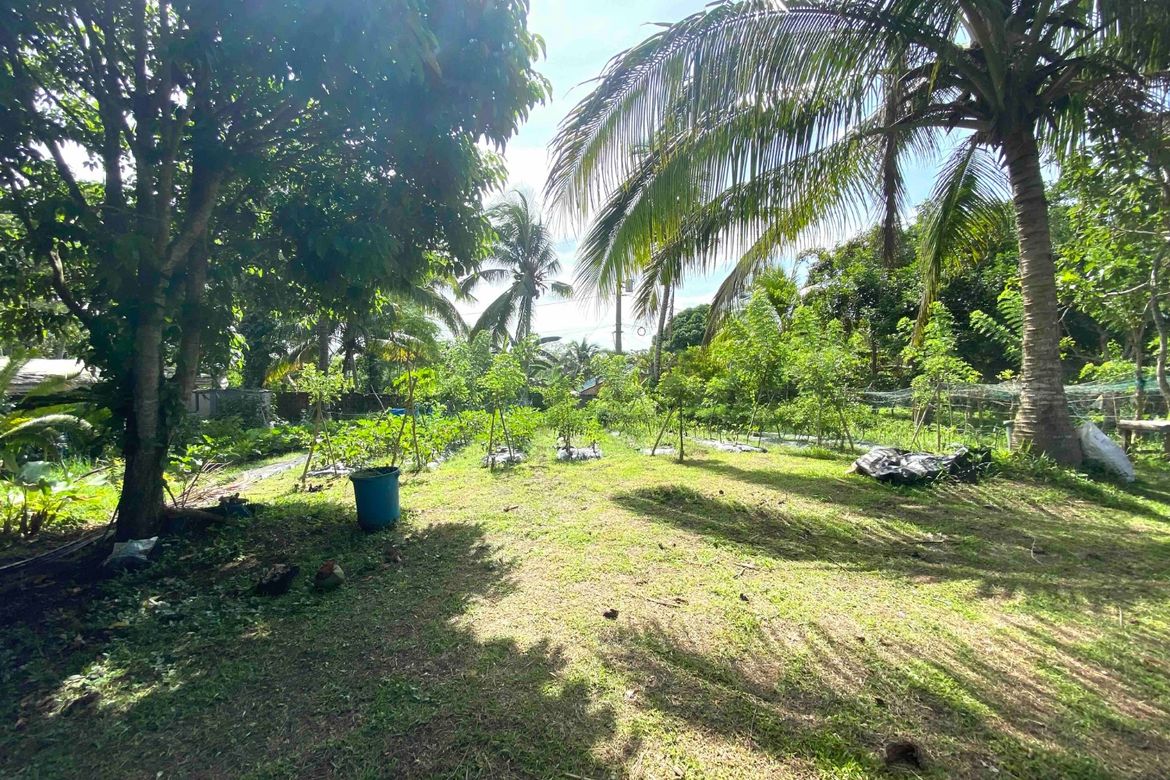 Land for Sale in Minantok Kanluran, Amadeo, Cavite – photo 2