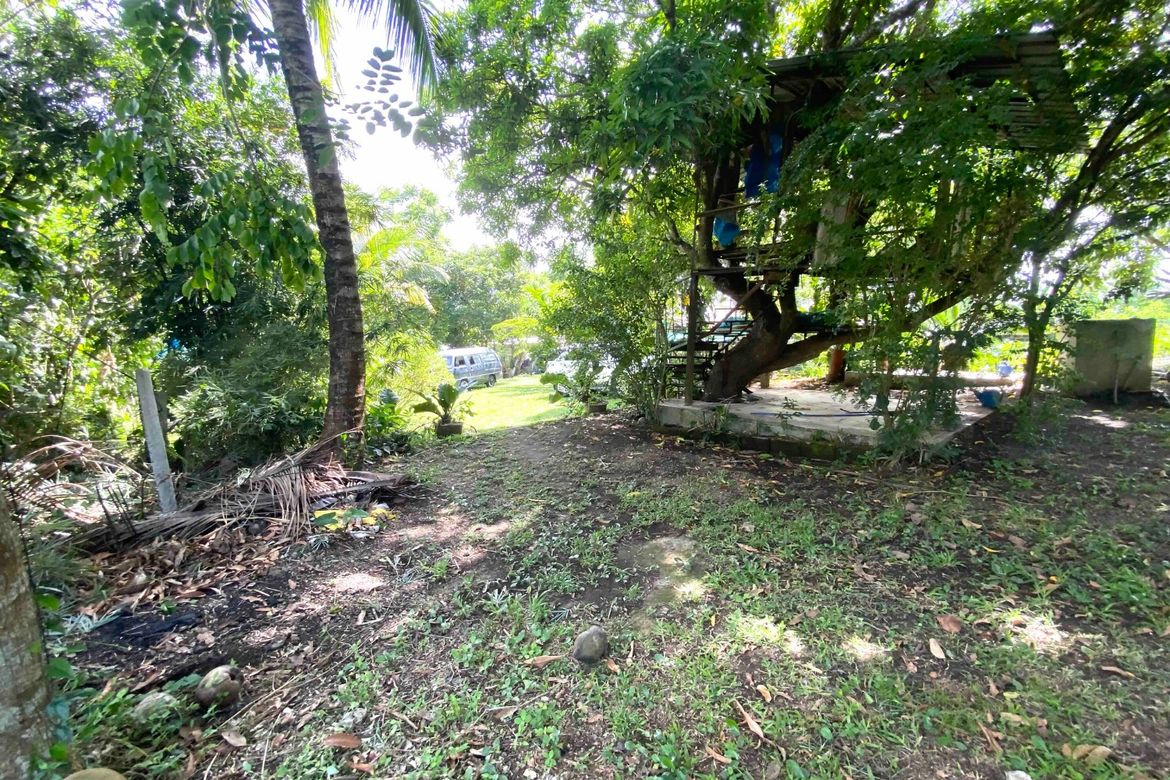 Land for Sale in Minantok Kanluran, Amadeo, Cavite – photo 3