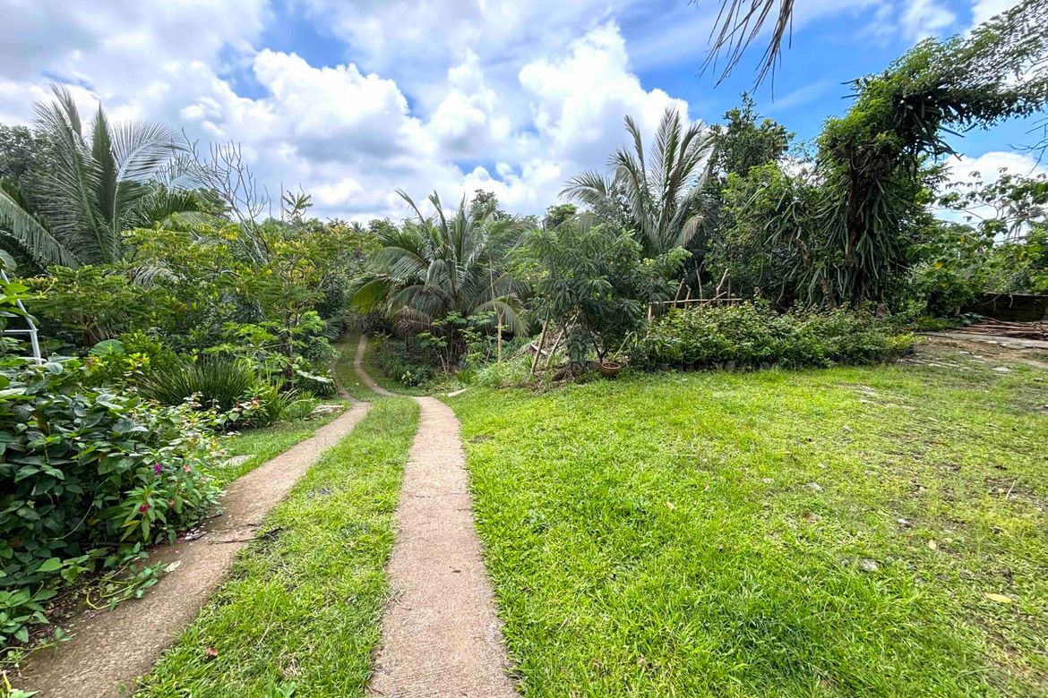Land for Sale in Minantok Kanluran, Amadeo, Cavite – photo 3