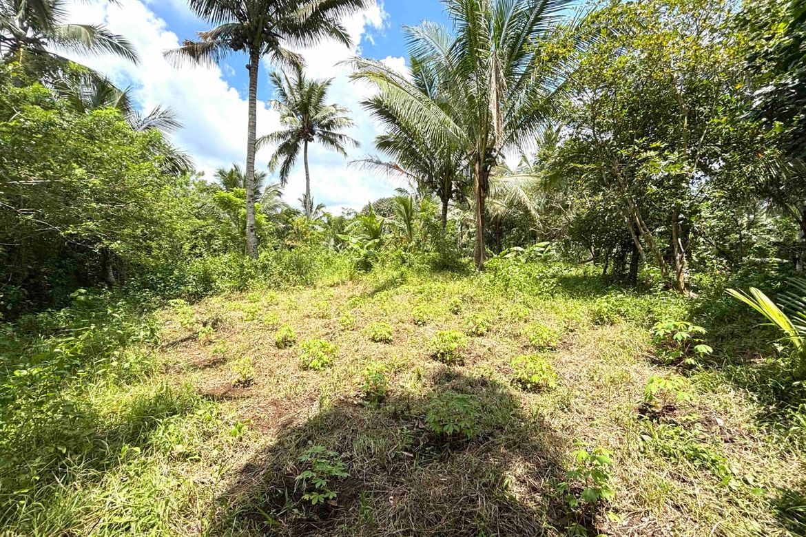 Land for Sale in Minantok Kanluran, Amadeo, Cavite – photo 6