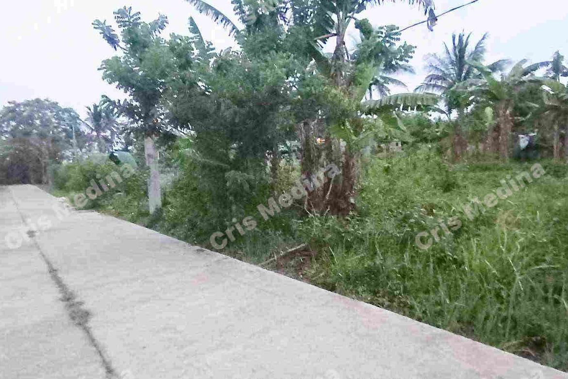 Land for Sale in Minantok Silangan, Amadeo, Cavite