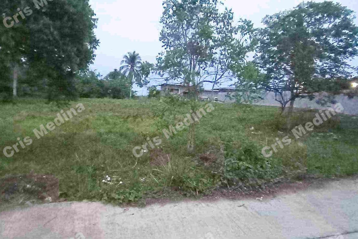 Land for Sale in Minantok Silangan, Amadeo, Cavite – photo 6