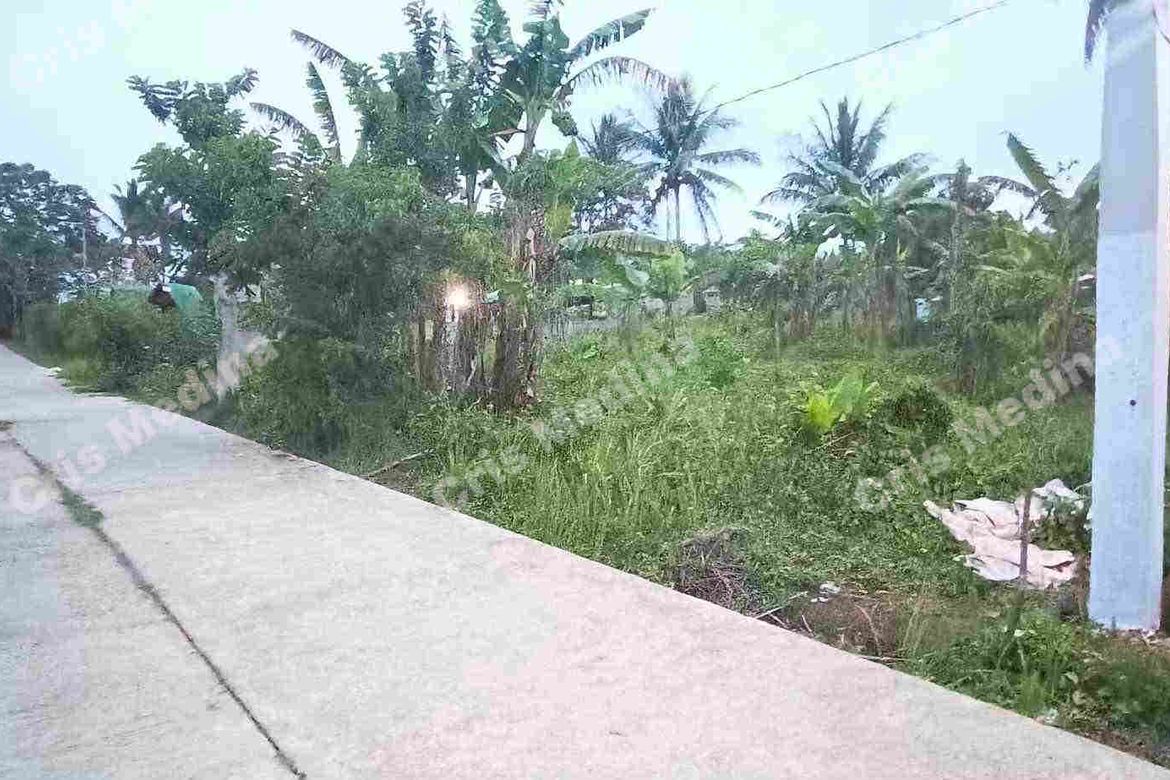 Land for Sale in Minantok Silangan, Amadeo, Cavite – photo 7
