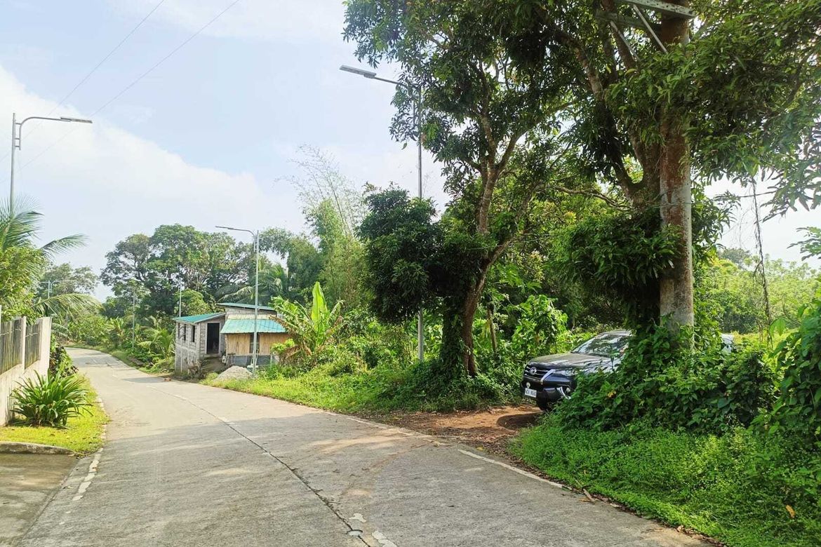 Land for Sale in Minantok Silangan, Amadeo, Cavite – photo 2