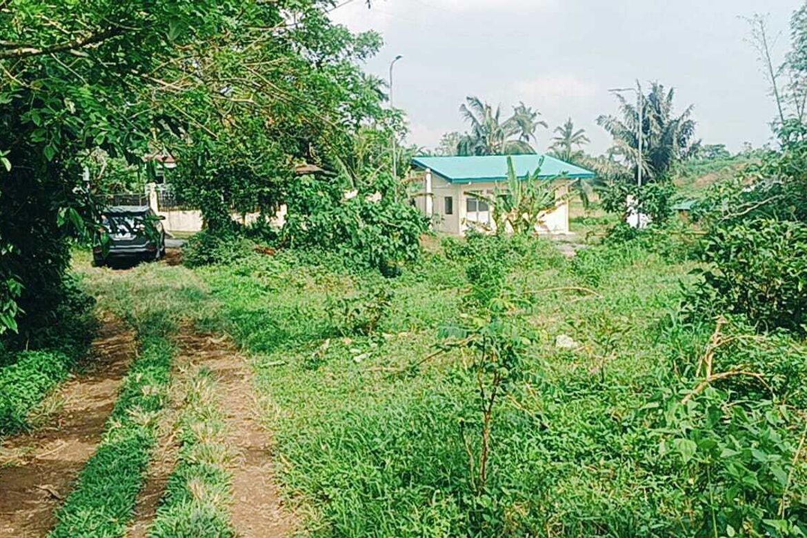 Land for Sale in Minantok Silangan, Amadeo, Cavite – photo 3
