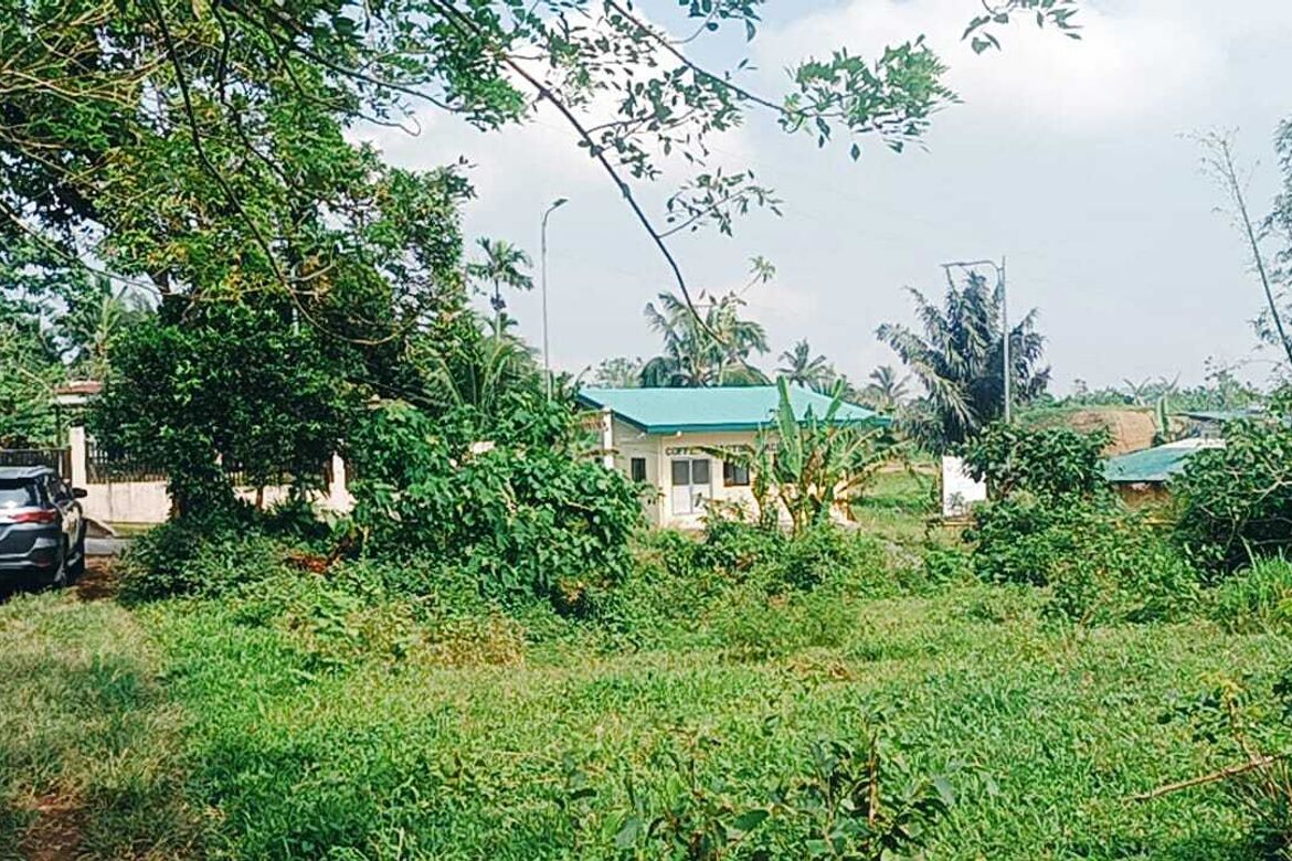 Land for Sale in Minantok Silangan, Amadeo, Cavite – photo 4