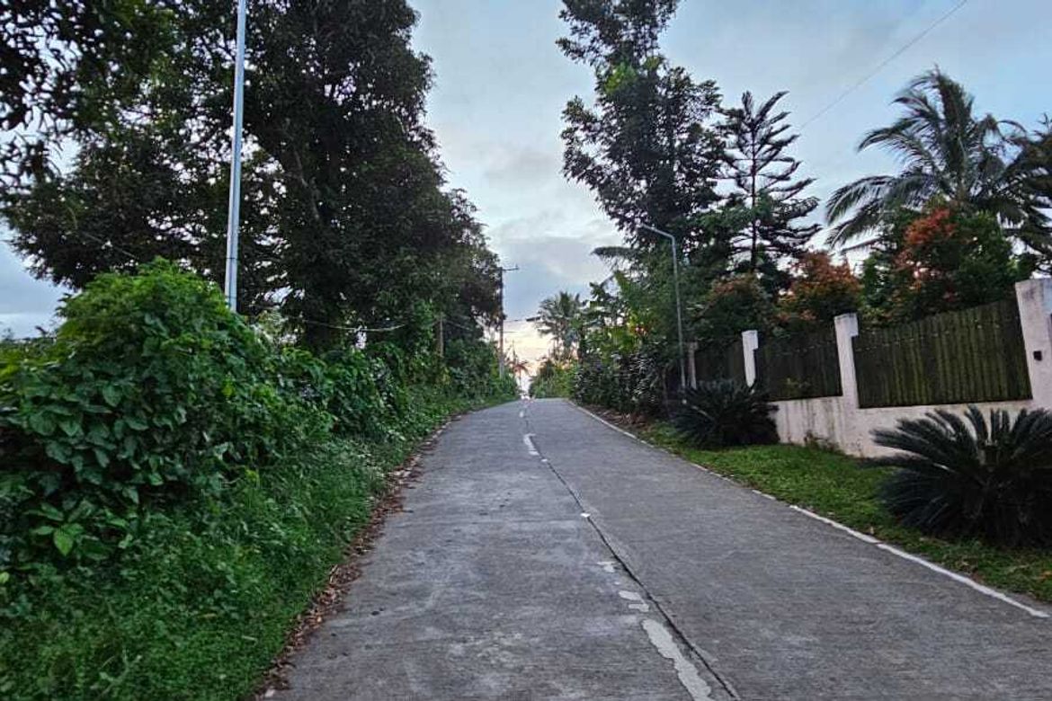 Land for Sale in Minantok Silangan, Amadeo, Cavite – photo 5