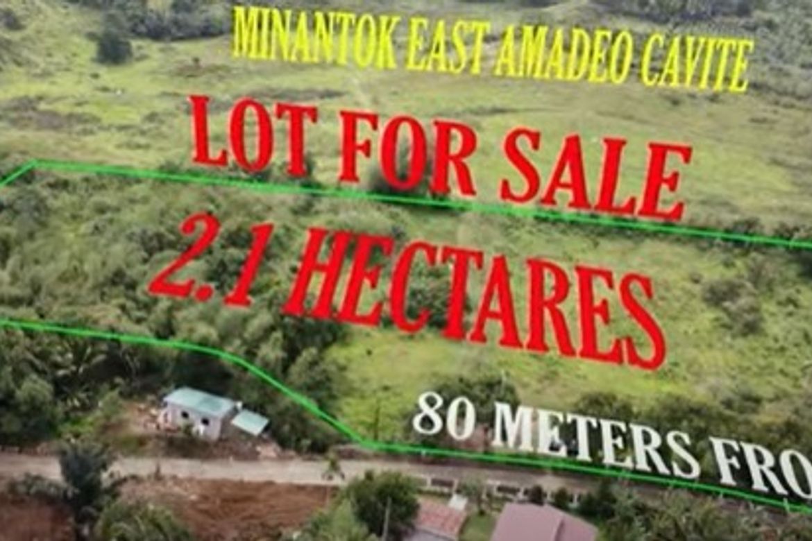 Land for Sale in Minantok Silangan, Amadeo, Cavite – photo 7
