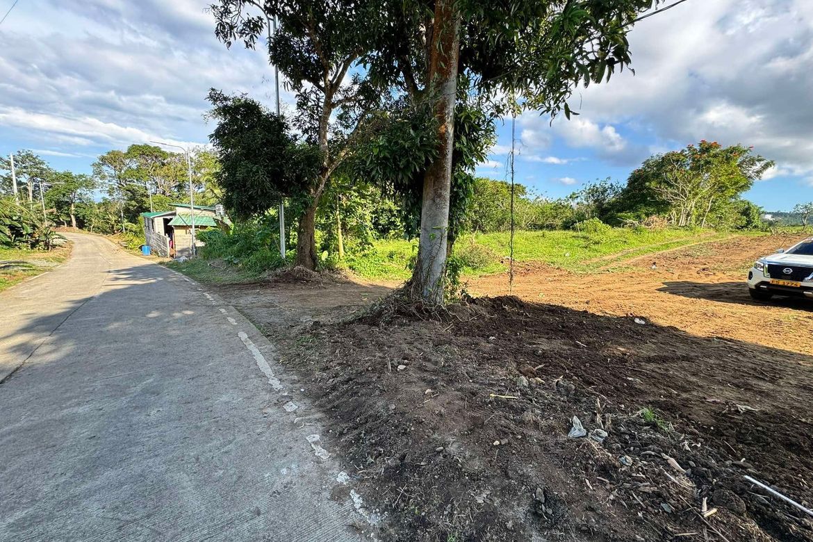 Land for Sale in Minantok Silangan, Amadeo, Cavite – photo 4
