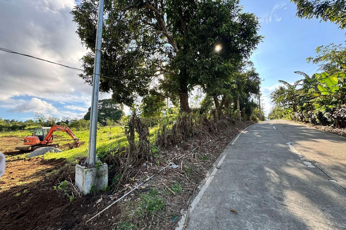 Land for Sale in Minantok Silangan, Amadeo, Cavite – photo 5