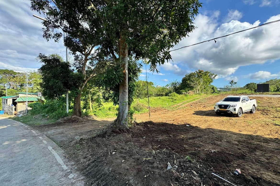 Land for Sale in Minantok Silangan, Amadeo, Cavite – photo 6