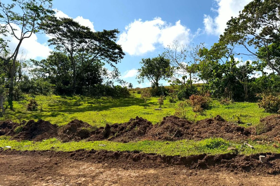 Land for Sale in Minantok Silangan, Amadeo, Cavite – photo 5
