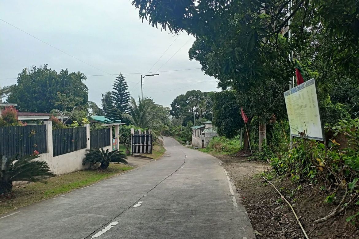 Land for Sale in Minantok Silangan, Amadeo, Cavite – photo 8