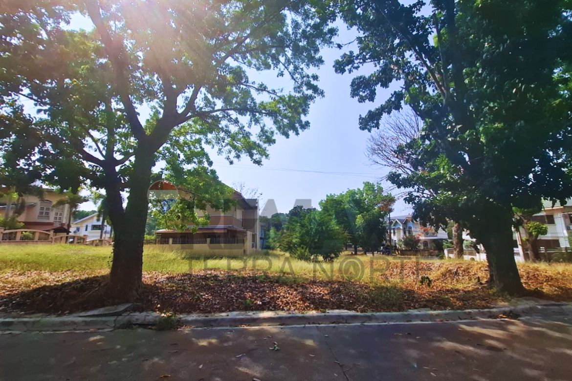 Land for Sale in Minien East, Santa Barbara, Pangasinan – photo 2