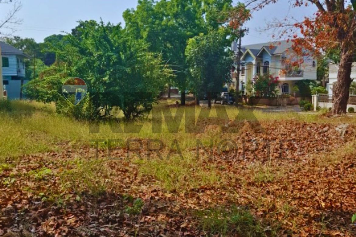 Land for Sale in Minien East, Santa Barbara, Pangasinan – photo 6