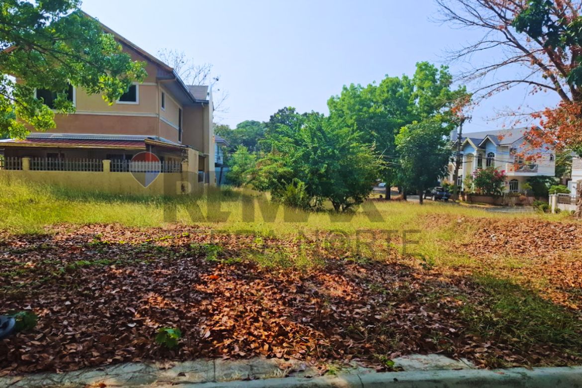 Land for Sale in Minien East, Santa Barbara, Pangasinan – photo 7