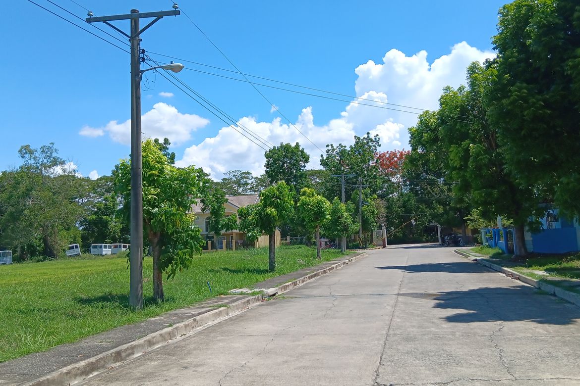 Land for Sale in Minien West, Santa Barbara, Pangasinan – photo 6