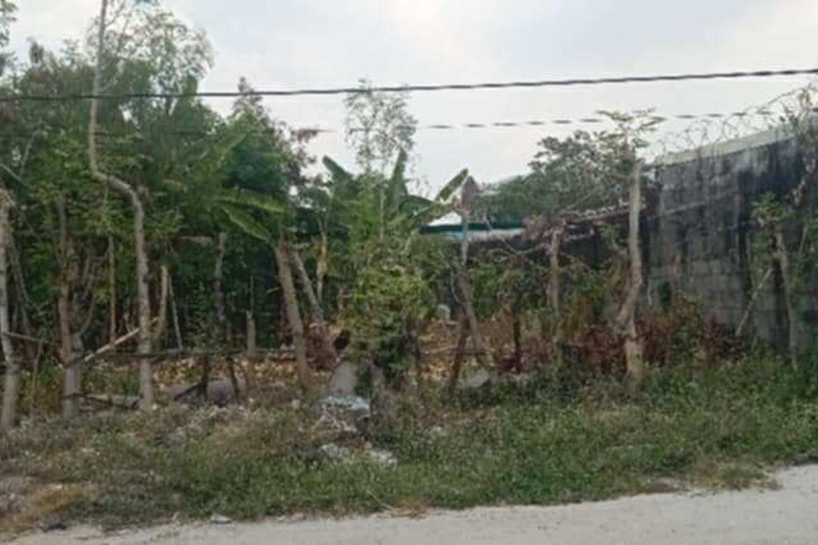 Land for Sale in Mining, Angeles, Pampanga – photo 2