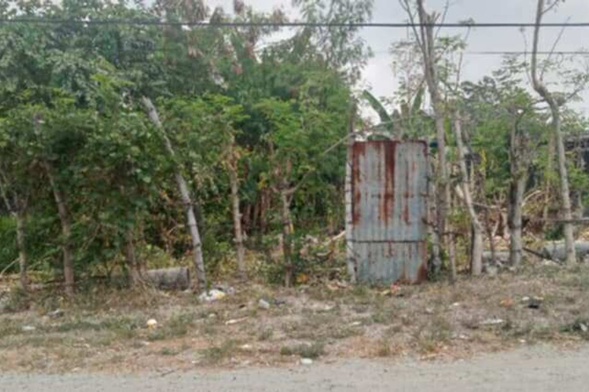 Land for Sale in Mining, Angeles, Pampanga – photo 3