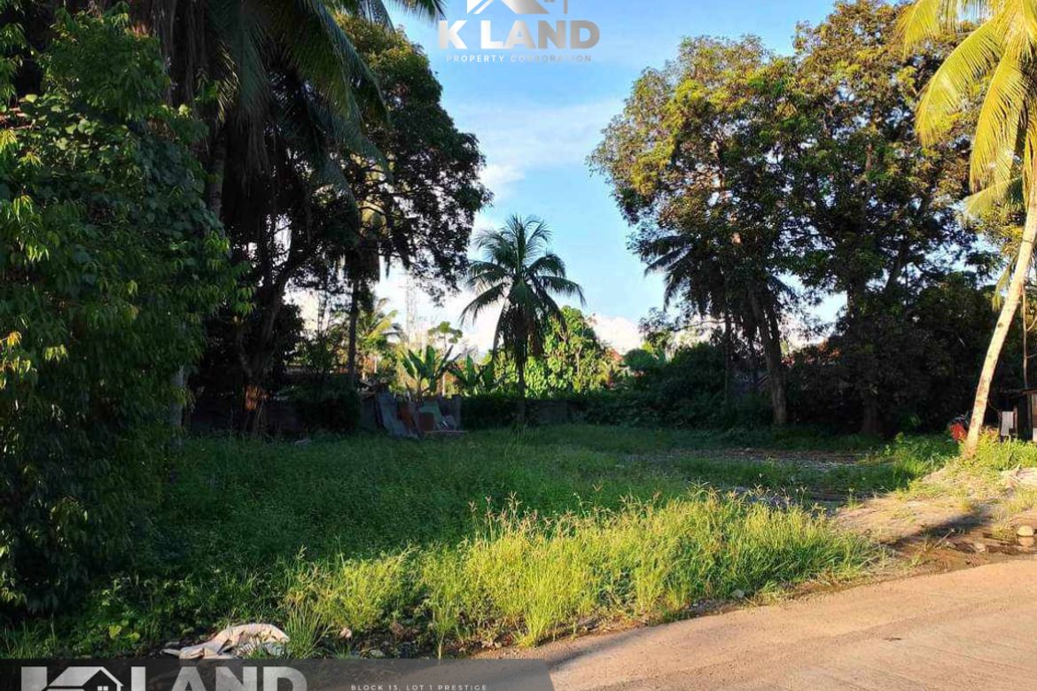 Land for Sale in Mintal, Davao City, Davao del Sur – photo 2