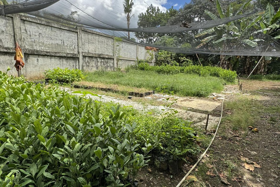 Land for Sale in Mintal, Davao City, Davao del Sur
