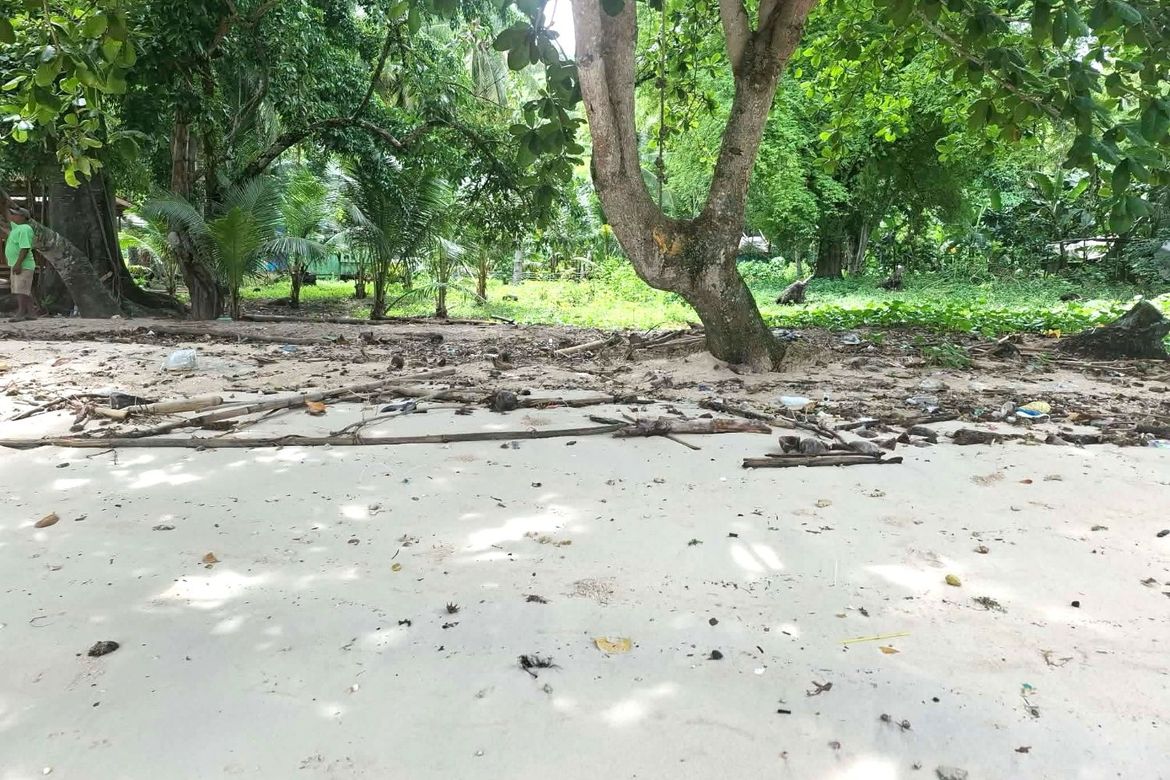 Land for Sale in Miranda, Samal, Davao del Norte – photo 2