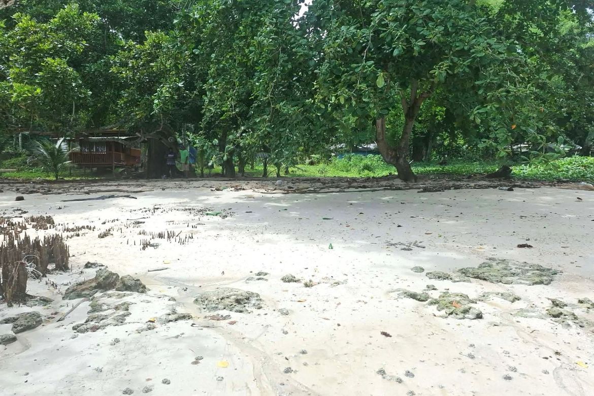 Land for Sale in Miranda, Samal, Davao del Norte – photo 4