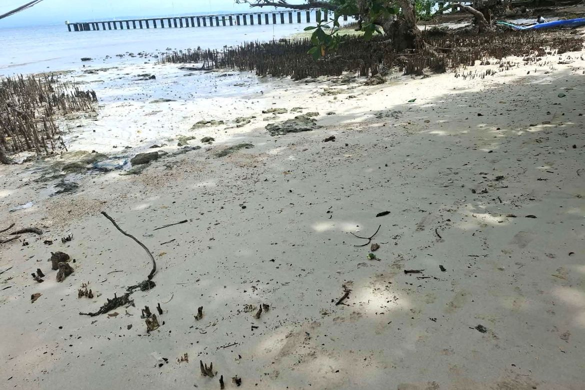 Land for Sale in Miranda, Samal, Davao del Norte – photo 6
