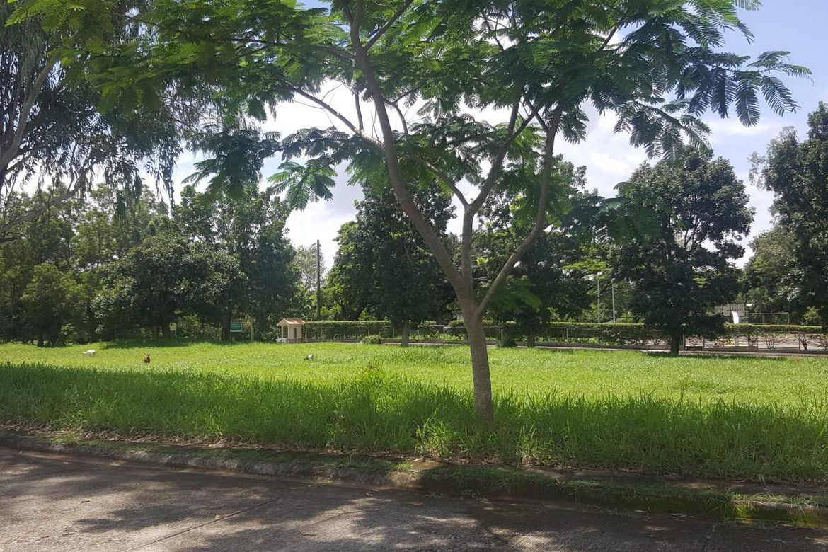 Land for Sale in Mission Hills, San Roque, Antipolo, Rizal