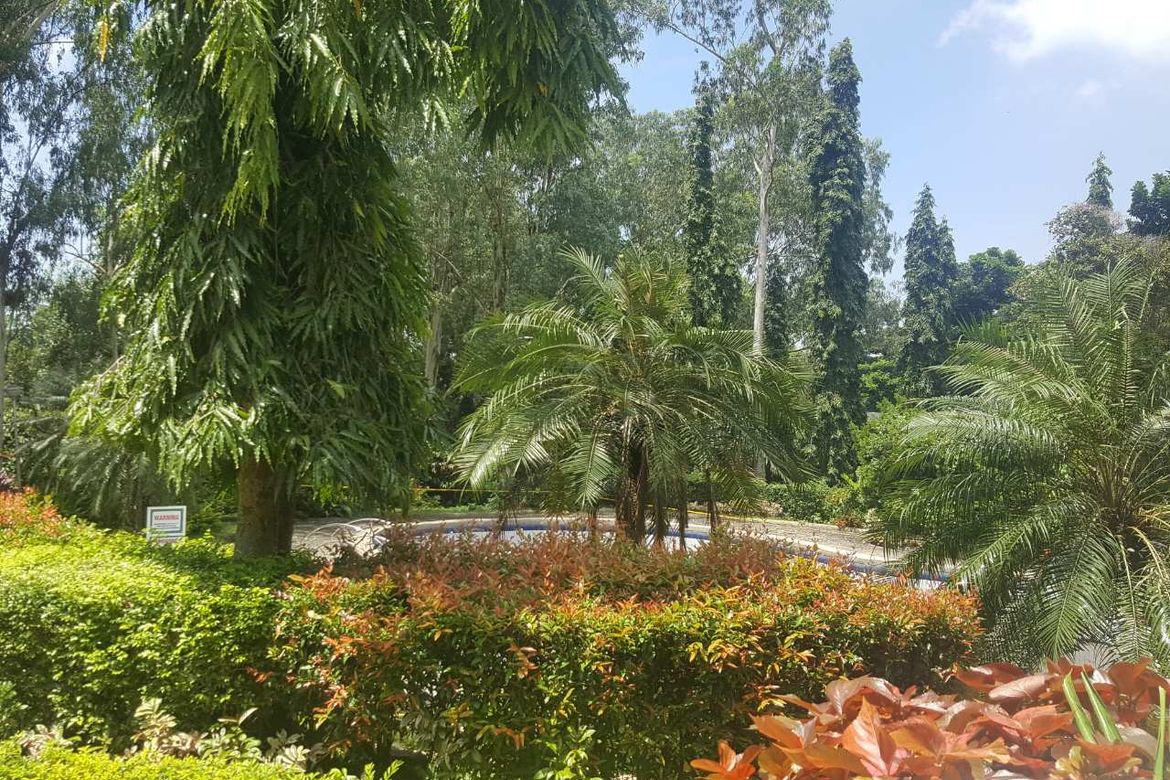 Land for Sale in Mission Hills, San Roque, Antipolo, Rizal – photo 2