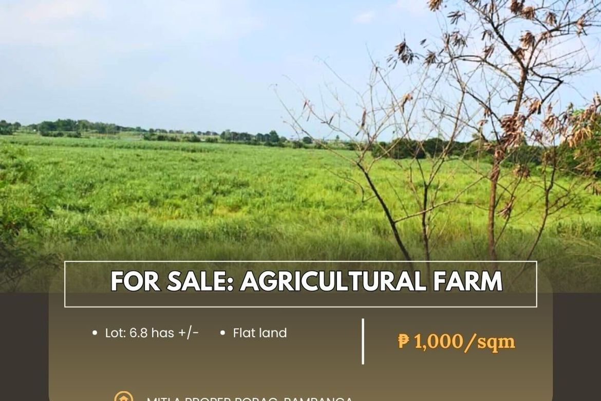 Land for Sale in Mitla Proper, Porac, Pampanga