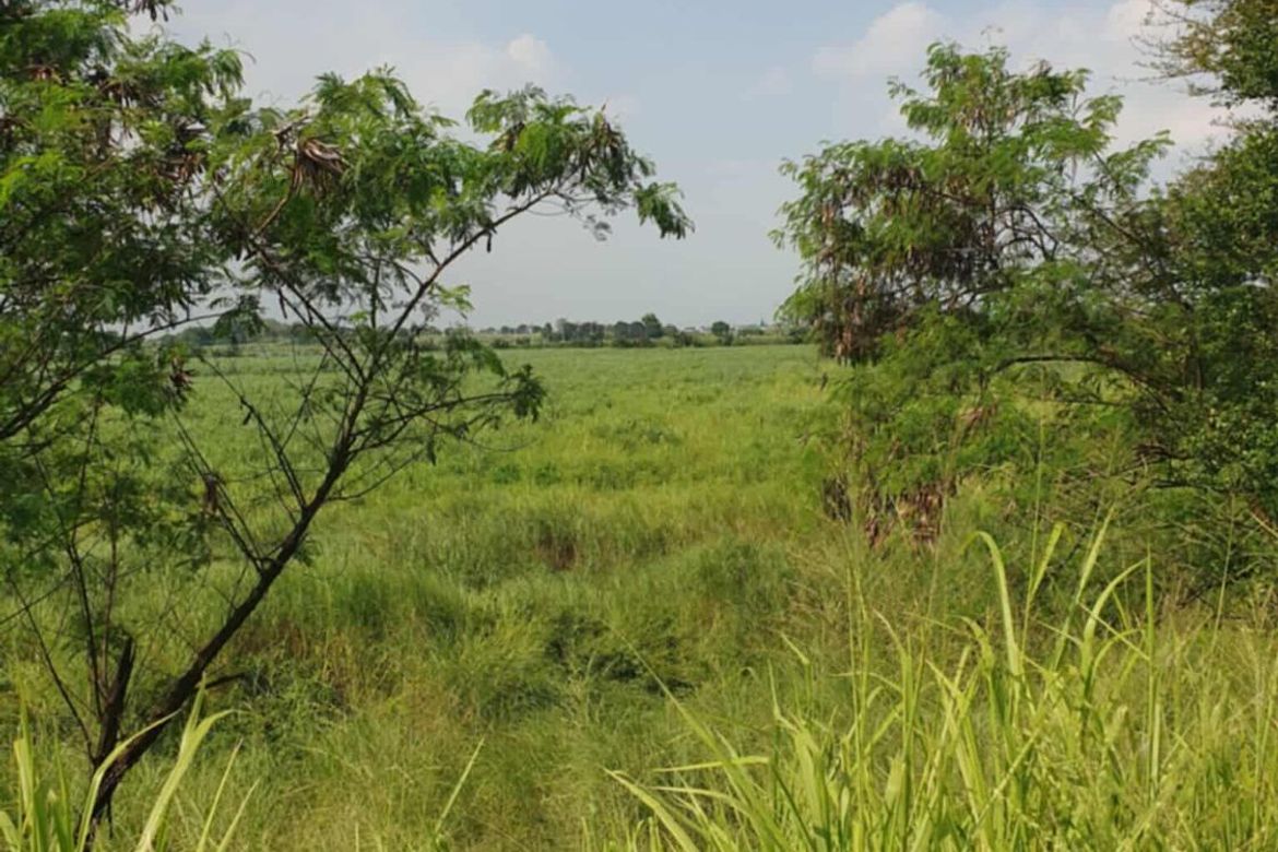 Land for Sale in Mitla Proper, Porac, Pampanga – photo 4